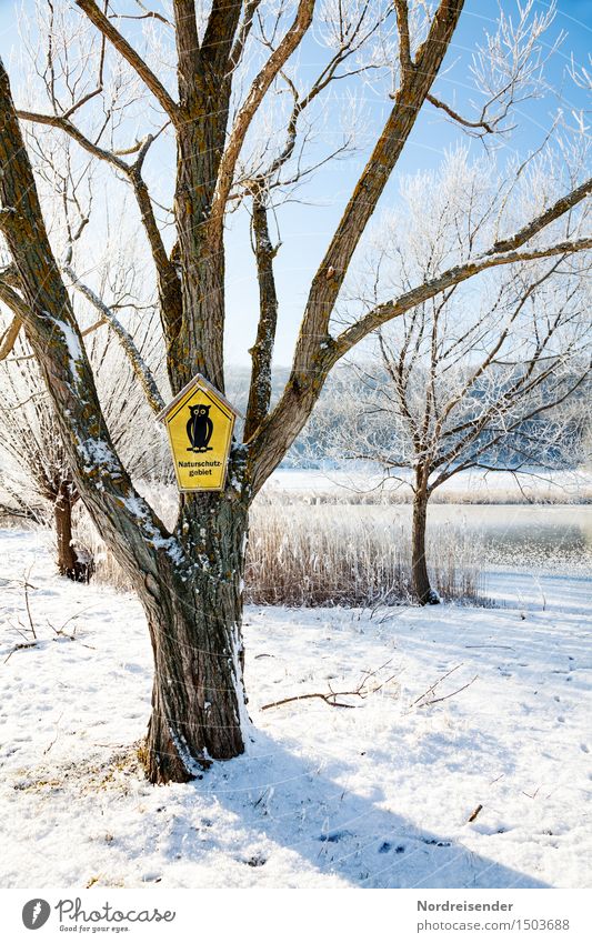 Naturschutzgebiet Landschaft Wolkenloser Himmel Winter Klima Schönes Wetter Eis Frost Schnee Baum Park See Zeichen Schilder & Markierungen Hinweisschild