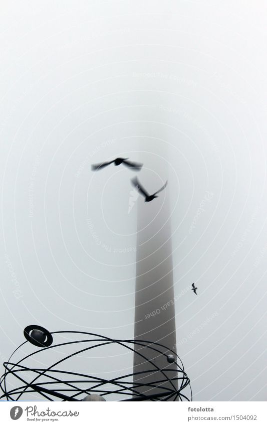 neblig l Nebel Berlin Berliner Fernsehturm Alexanderplatz Weltzeituhr Hauptstadt Menschenleer Turm Uhr Sehenswürdigkeit Vogel fliegen grau schwarz Dunst dunstig