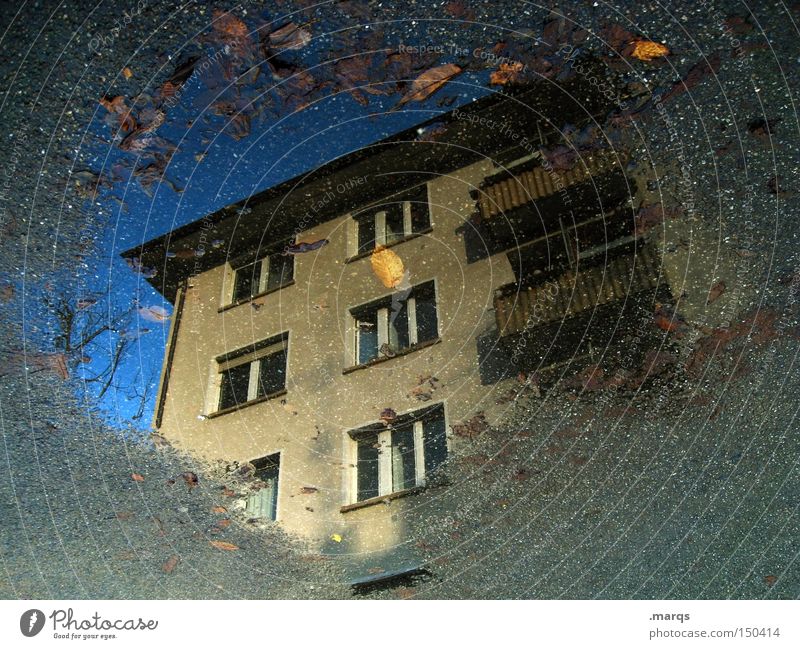 Tristesse kalt Haus nass Stadt Mieter Pfütze Herbst Balkon Fenster Häusliches Leben Wohnung Hinterhof Vermieter Reflexion & Spiegelung Wasser