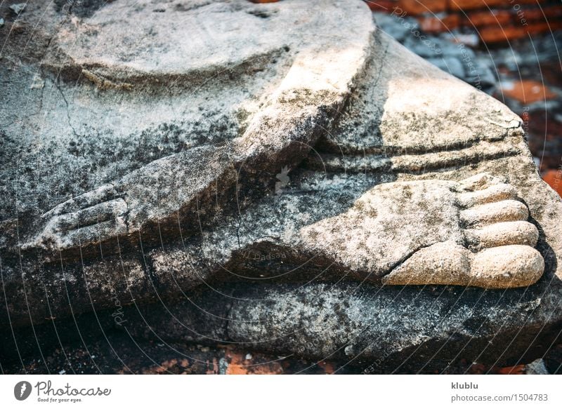Hand und Fuß von Buddha-Statue in Ayutthaya, Thailand Design Gesicht Meditation Kultur Himmel Wolken Architektur alt Glaube Religion & Glaube antik Asien