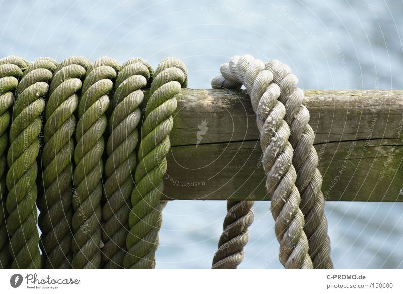 Einst trauten zwei Taue... Seil Befestigung Balken Hafen Wasserfahrzeug maritim losgelöst Handwerk