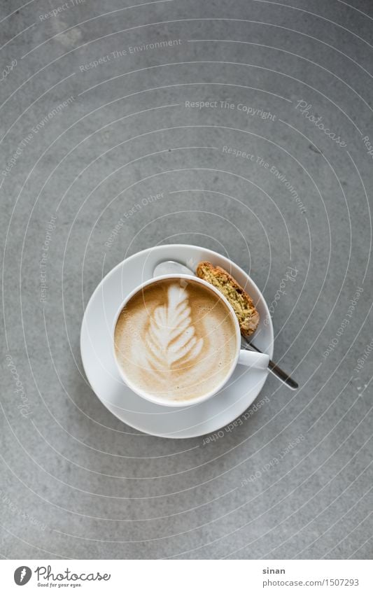 Cappuccino Farbfoto Studioaufnahme Menschenleer Hintergrund neutral Morgen Tag Licht Schatten Vogelperspektive Getränk Heißgetränk Kaffee Latte Macchiato