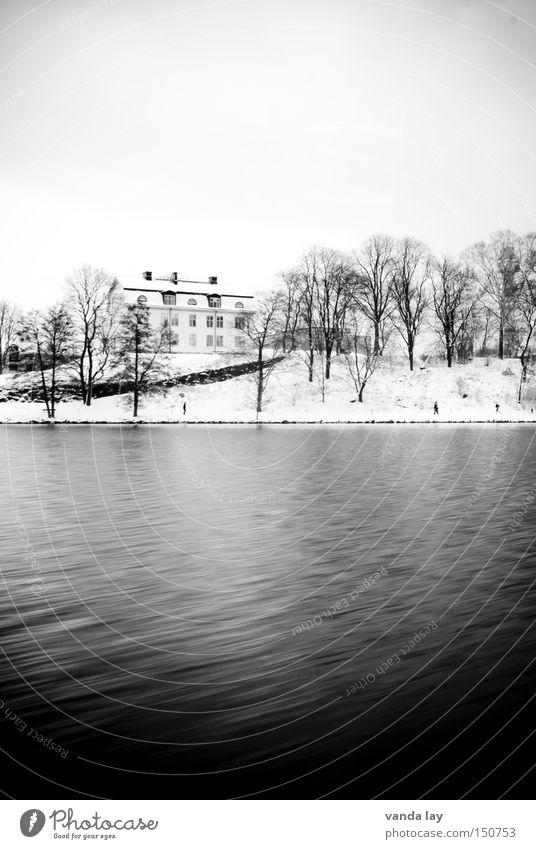 Stockholmer Ansichten II Haus Wasser Baum Schnee kalt Winter Küste Häusliches Leben Einsamkeit Landschaft Natur See Schwarzweißfoto Fluss Bach Schweden