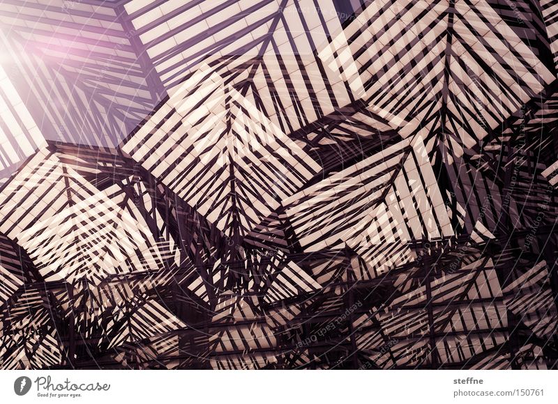 analytischer kubismus abstrakt durcheinander Kubismus Doppelbelichtung Linie chaotisch Berge u. Gebirge Detailaufnahme modern Strukturen & Formen Architektur