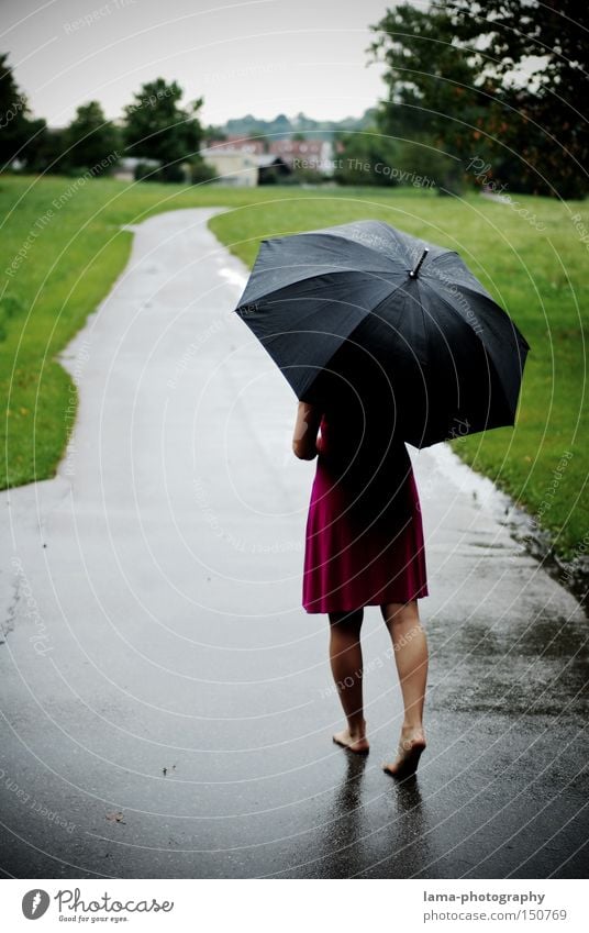 barfuß Frau Regenschirm Gewitter Barfuß Kleid Herbst nass Wege & Pfade Spaziergang Pfütze Wiese Trauer Unbeschwertheit Verzweiflung Traurigkeit