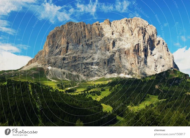 dolomiten langkofel Farbfoto Außenaufnahme Menschenleer Tag Blick nach vorn Berge u. Gebirge wandern Klettern Bergsteigen Wiese Alpen Alm Italien gröden