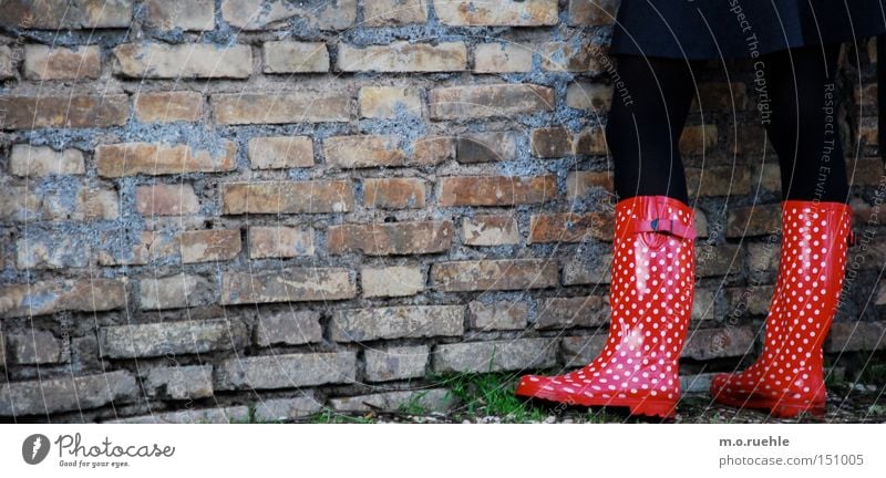 gewappnet: für dich und den regen Marienkäfer Beine Frauenbein Rock Farbe Punkt rot-weiß Strumpfhose wetterfest Mode Stil Schuhe Herbst Bekleidung Regenstiefel