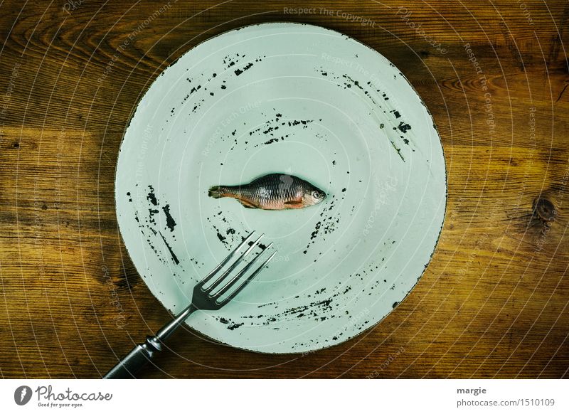 Fischgericht: ein Teller und eine Gabel, darauf ein winziger Fisch Lebensmittel Ernährung Mittagessen Abendessen Bioprodukte Diät Fasten Gesundheit Übergewicht