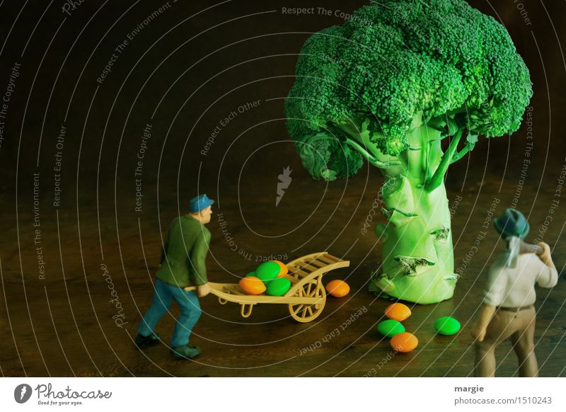 Miniwelten - Brokkoli Ernte Gemüse Bioprodukte Vegetarische Ernährung Arbeit & Erwerbstätigkeit Gartenarbeit Arbeitsplatz Küche Landwirtschaft Forstwirtschaft