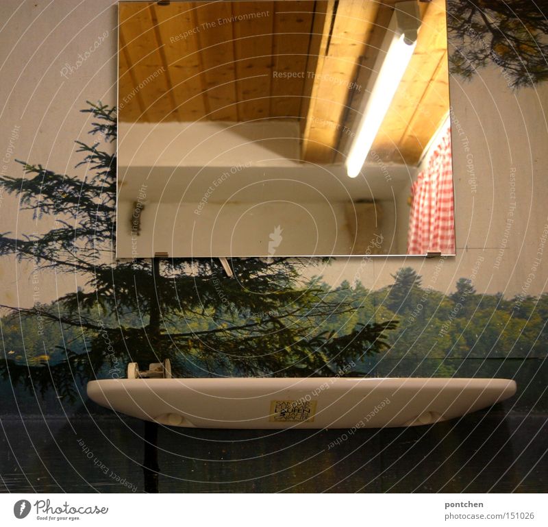 Spiegel und seifenablage in einem dunklen  Bad mit einer Tapete  mit waldmotiv. Neonröhre und Holzverkleidung Häusliches Leben einrichten Innenarchitektur Wald