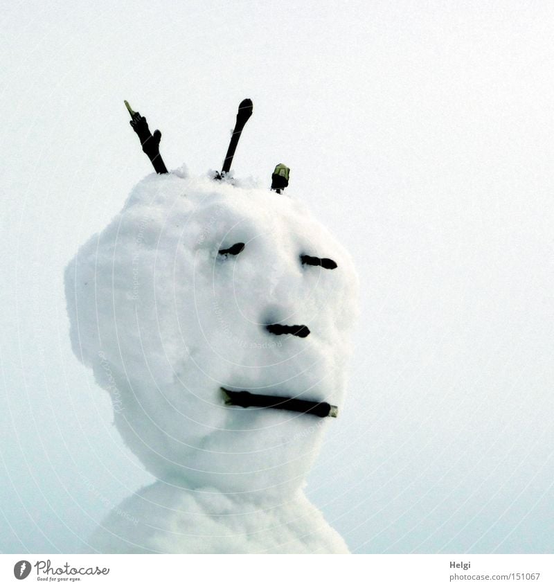 Kopf eines Schneemanns mit Gesicht und Frisur aus Zweigen Gedeckte Farben Außenaufnahme Hintergrund neutral Tag Porträt Halbprofil Freude Freizeit & Hobby