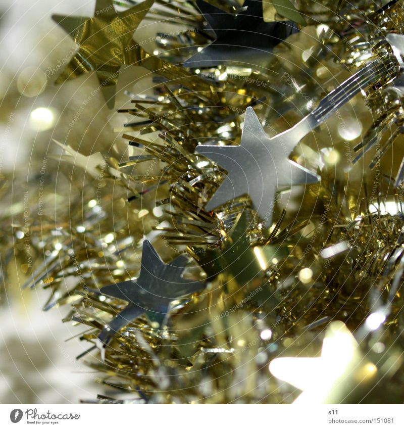 Sternchen glänzend Weihnachten & Advent Dekoration & Verzierung schimmern Feste & Feiern Stern von Bethlehem Winter gold silber Lampe Stern (Symbol)