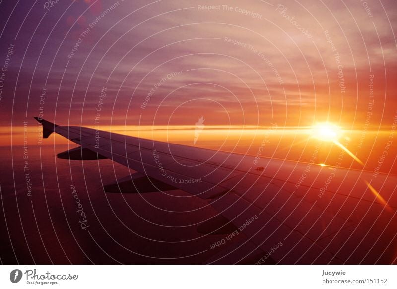 Und es wurde Licht Flugzeug Sonne Abdeckung Sonnenaufgang Tragfläche Himmel Wolken Morgen Ferien & Urlaub & Reisen aufwachen orange Leben fliegen Flughafen