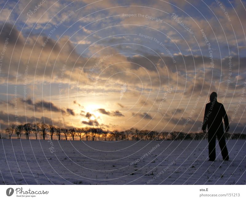 Tatsachen... Mensch Schnee Natur Landschaft Ferne Sonnenuntergang Allee Feld Körperhaltung Blick Winter Himmel Stimmung kalt Brandenburg