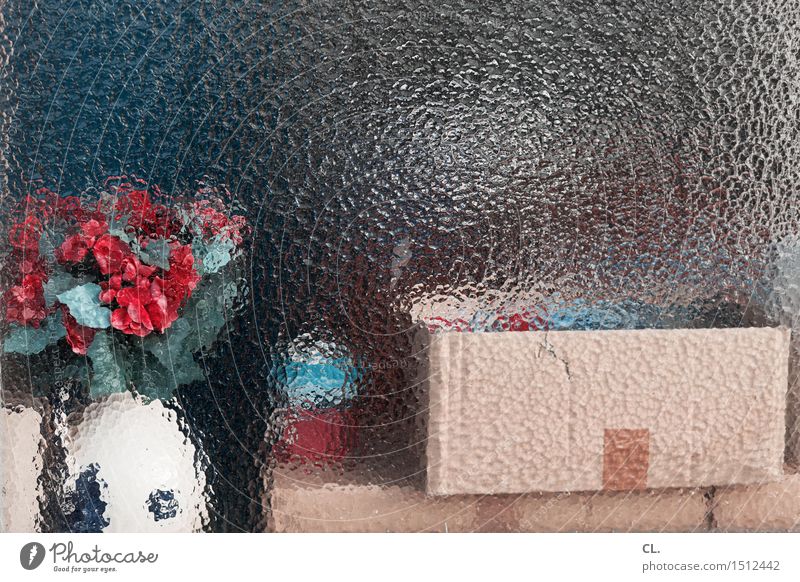 hinter glas Umzug (Wohnungswechsel) einrichten Dekoration & Verzierung Blume Fenster Verpackung Paket Schalen & Schüsseln Kasten Blumenstrauß Blumenvase Karton
