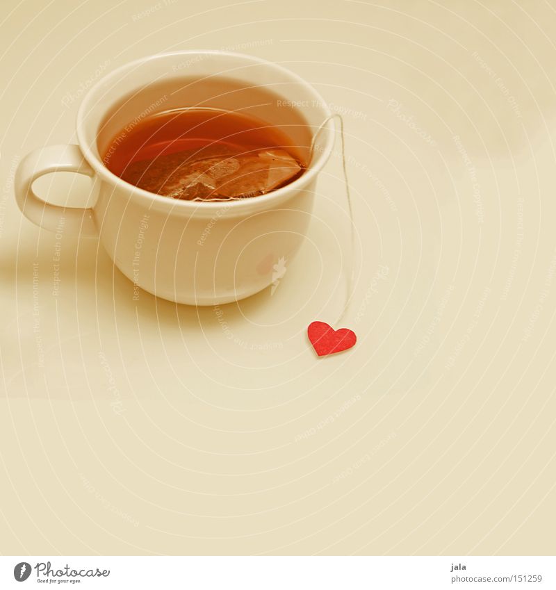 tee mit herz Tee Tasse Herz Teebeutel weiß Sauberkeit Liebe Gesundheit Liebeskummer Winter Erfrischung