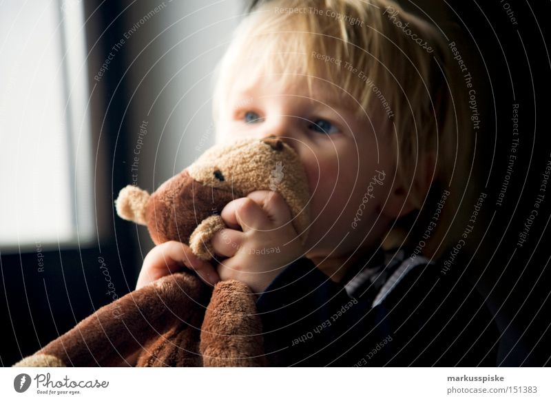 kuschel tier Kind Kleinkind Kuscheln Plüsch Tier Liebkosen Gefühle Kindergarten Vorschule festhalten beißen Küssen Freude Liebe