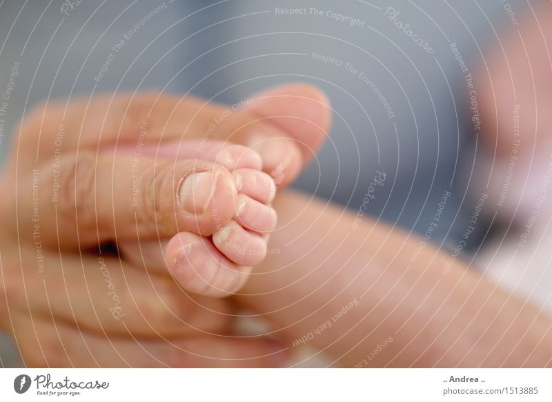 Babyfüsschen 2 Fuß 0-12 Monate streichen Freude Glück Fröhlichkeit Zufriedenheit Lebensfreude Leidenschaft Vertrauen Sicherheit Schutz Geborgenheit