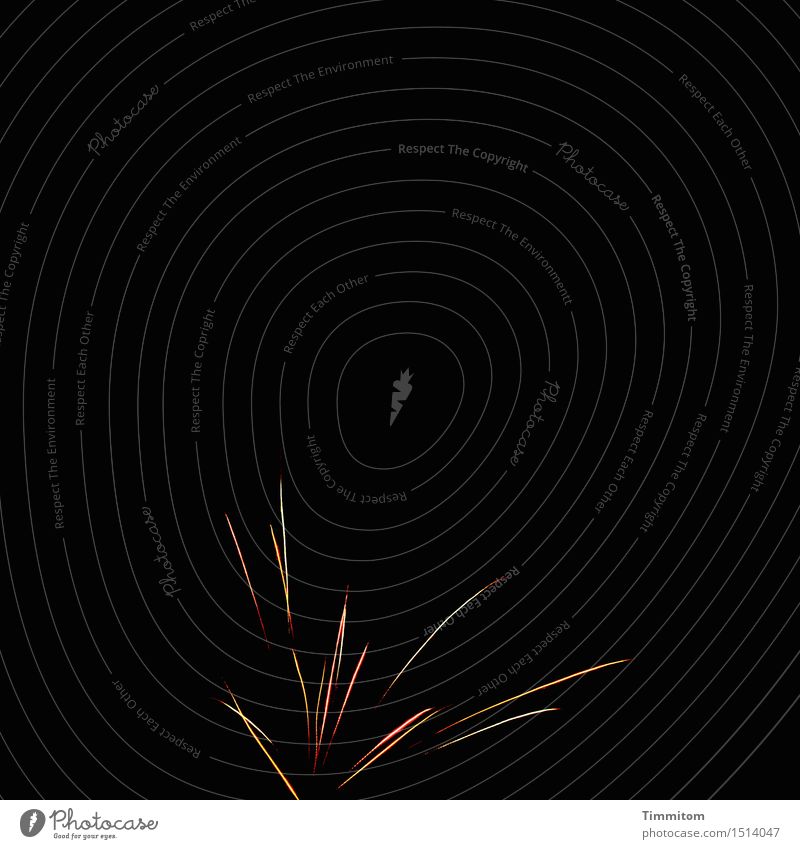 Kleine Feier. Veranstaltung Silvester u. Neujahr Nachthimmel leuchten gold rot schwarz Feuerwerk Nachtaufnahme Feste & Feiern bescheiden Farbfoto Außenaufnahme