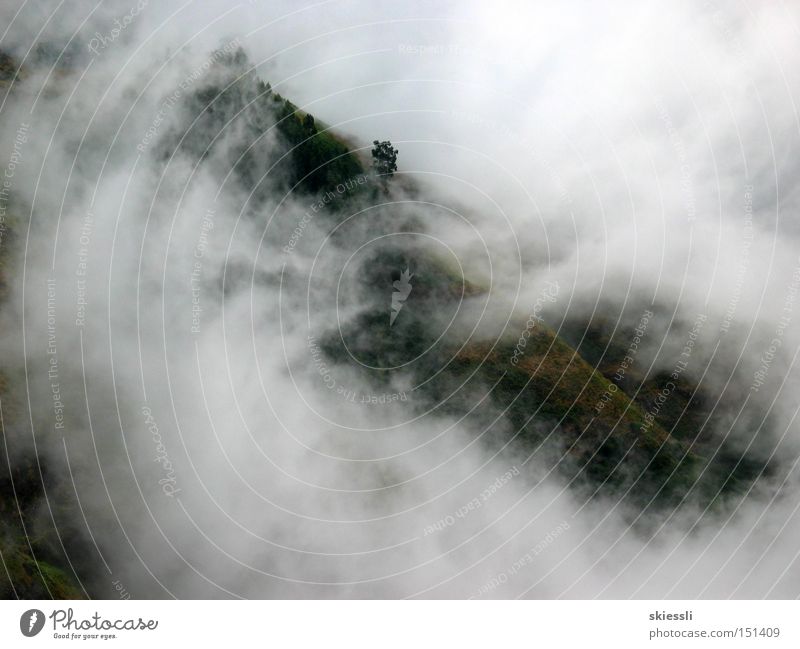 Nebelmeer Einsamkeit Hoffnung Wolken verhüllen Schutz Aussicht ruhig Natur unberührt Berge u. Gebirge Himmel Herbst Decke Lichtblick Leuchtturm im Nebel