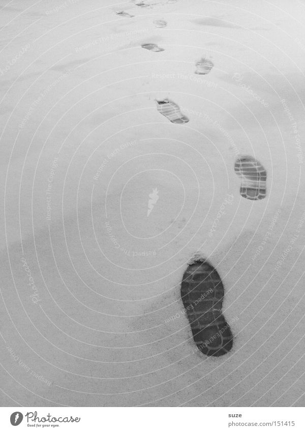 Heiße Spur Winter Schnee Fußspur laufen Spuren Verfolgung Eindruck Schuhsohle Detektiv Suche Schwarzweißfoto Außenaufnahme Muster Menschenleer