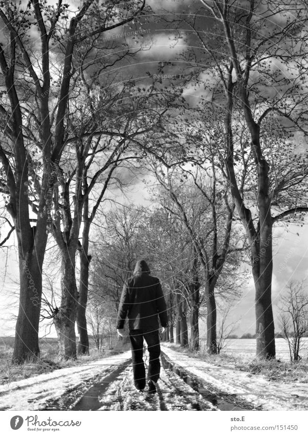 kalt pt.2 Mensch Allee Straße Wege & Pfade Baum Winter Schnee Schwarzweißfoto wandern Himmel Wolken Stimmung Geäst trist