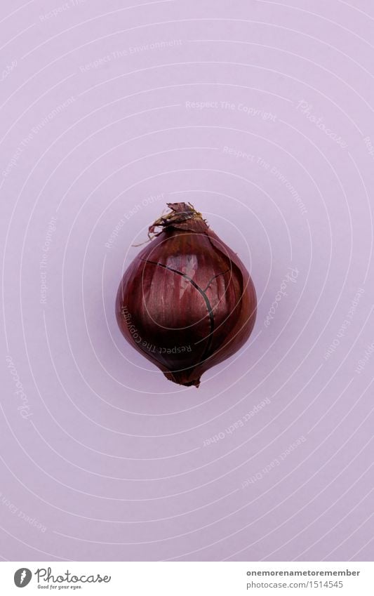 Jammy Zwiebel auf Lila Kunst Kunstwerk ästhetisch Zwiebelkuchen Zwiebelschale violett Bioprodukte Gemüse Kräuter & Gewürze lecker Gesundheit Gesunde Ernährung