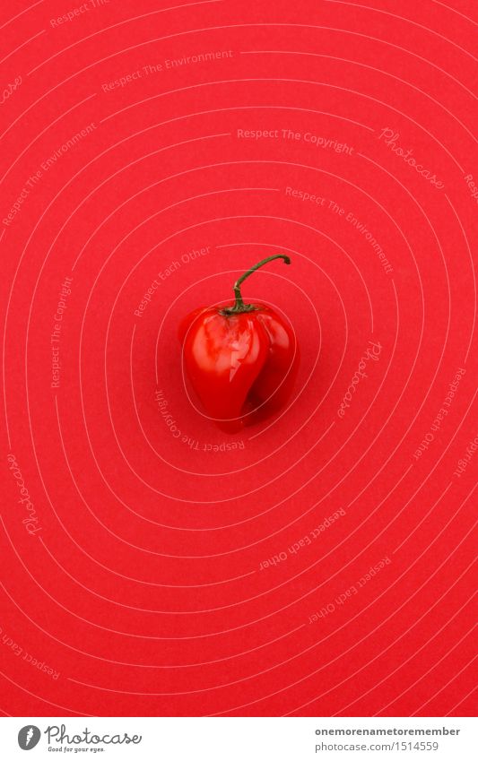 Jammy Chilischote auf Rot Kunst Kunstwerk ästhetisch rot Chiliernte Schote knallig Scharfer Geschmack Aggression Paprika lecker Würzig Design gestalten Farbfoto