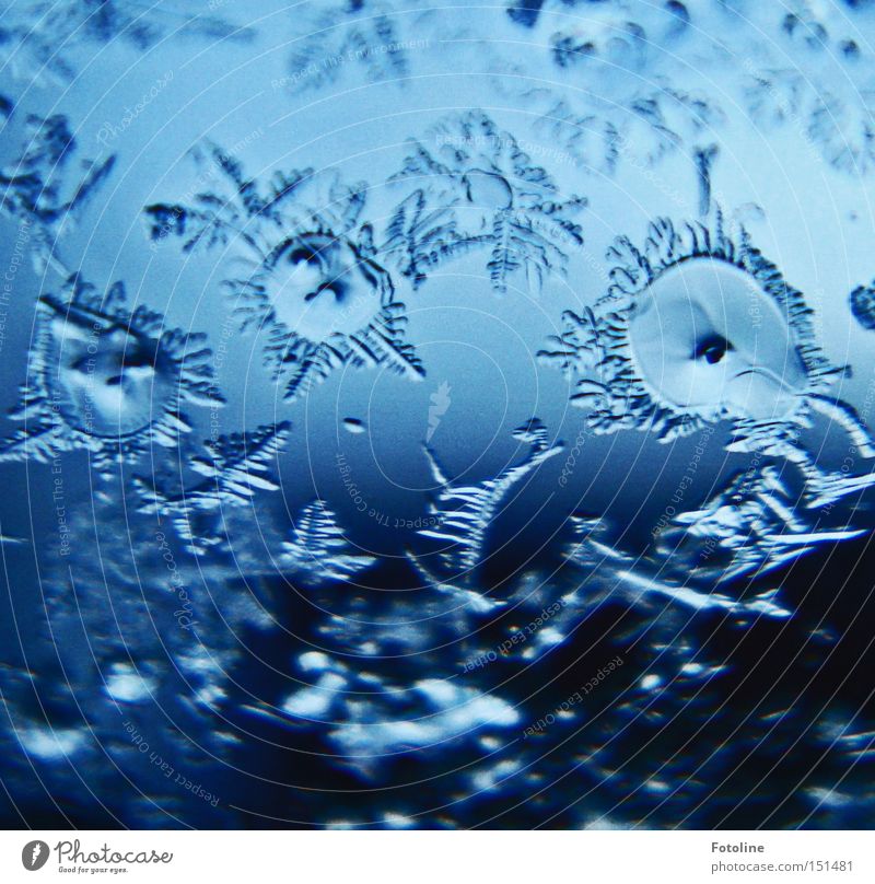 Eisblumen Blume Kristallstrukturen kalt Winter Frost Fensterscheibe Autofenster Scheibe Glas KFZ blau