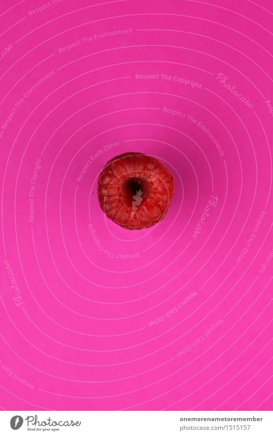Jammy Himbeere auf Magenta Kunst ästhetisch Himbeeren knallig Farbfoto rosa magenta lecker Gesundheit Frucht Himbeereis Lebensmittel Foodfotografie Ernte 1 rot