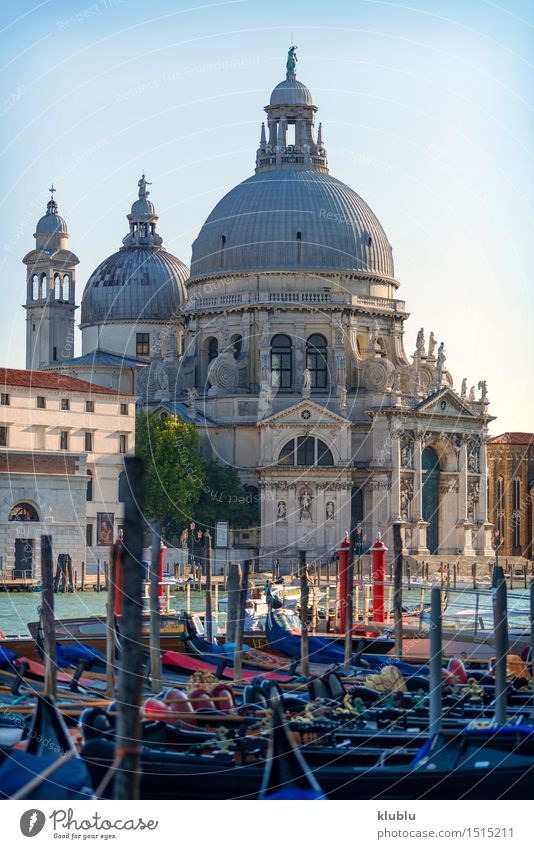 Ansicht von Venedig, Italien Meer Insel Kleinstadt Stadt Kirche Gebäude Architektur Fassade Wasserfahrzeug Vogel historisch maritim Religion & Glaube Aussicht