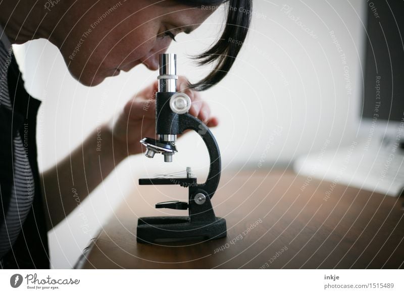 Experiment 1 Bildung Arbeit & Erwerbstätigkeit Beruf Wissenschaftler Biologe Chemiker Labor Mikroskop Wissenschaften Frau Erwachsene Leben Gesicht Oberkörper