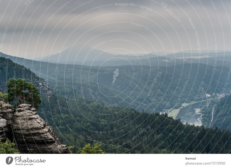 Blick nach Osten Abenteuer Ferne Freiheit Umwelt Natur Landschaft Himmel Wolken Sommer schlechtes Wetter Nebel Baum Wald Hügel Felsen Berge u. Gebirge