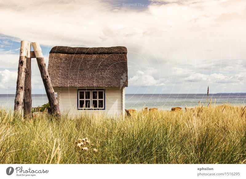 Strandhaus Umwelt Natur Landschaft Wasser Himmel Sonne Frühling Sommer Herbst Schönes Wetter Wellen Küste Seeufer Bucht Ostsee Meer Stadtrand Hütte Gebäude