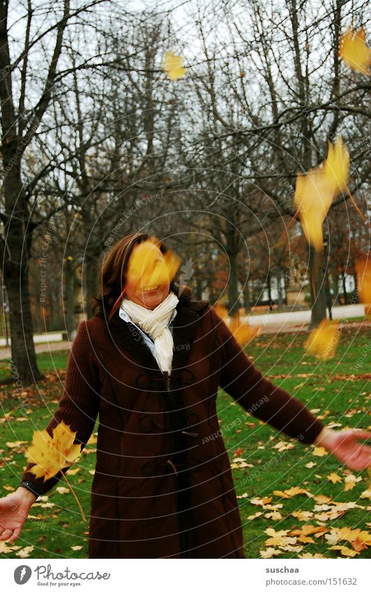 frau holle? Herbst Jahreszeiten Blatt werfen Baum kalt Schal Mantel Frau Freude fallen Bewegung Außenaufnahme