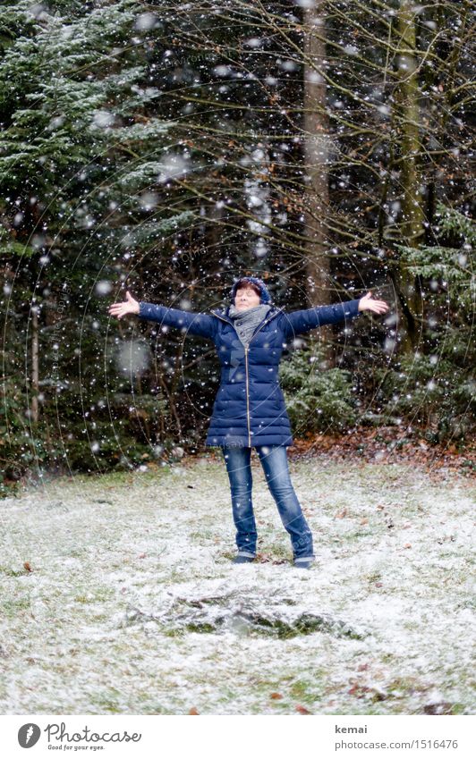 Frau mit blauer Jacke am Waldrand bei Schneefall Lifestyle Stil Spielen Ausflug Freiheit Winter Mensch feminin Erwachsene Weiblicher Senior Leben 1 60 und älter