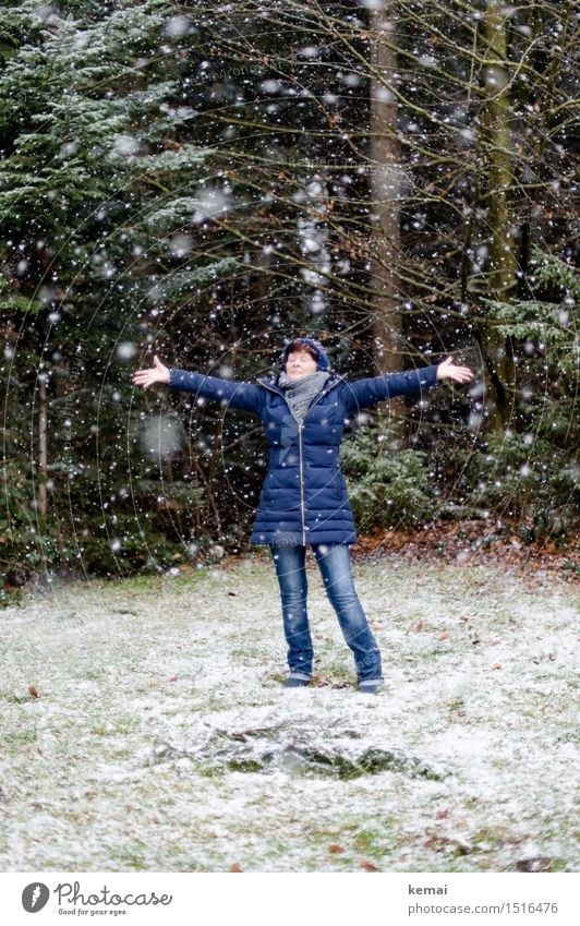 Frau mit blauer Jacke am Waldrand bei Schneefall Lifestyle Stil Spielen Ausflug Freiheit Winter Mensch feminin Erwachsene Weiblicher Senior Leben 1 60 und älter