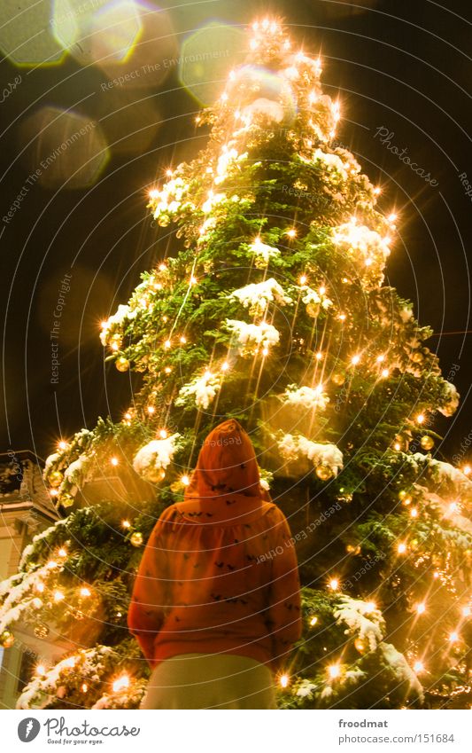 rotkäppchen und der liebe baum gold Weihnachten & Advent Lichterkette Baum Frau schön Märchen Winter Beleuchtung Veranstaltungsbeleuchtung Nacht Schnee