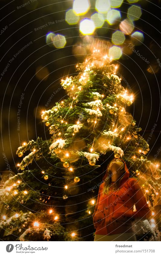 es schneielet es beielet Gold Weihnachten & Advent Lichterkette Baum Frau schön Märchen Winter Beleuchtung Veranstaltungsbeleuchtung Nacht Schnee Weihnachtsbaum