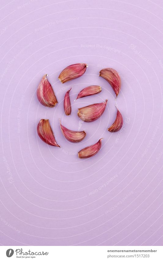 Jammy Knoblauch auf Lila Kunst Kunstwerk ästhetisch Symmetrie Knoblauchzehe Knoblauchknolle rot violett lecker Gesundheit Gesunde Ernährung Kräuter & Gewürze
