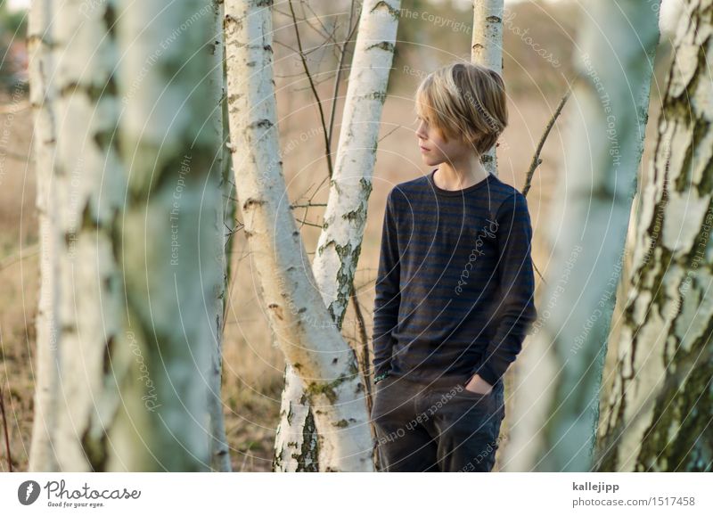 zwischen birken Mensch Kind Junge Kindheit Leben Kopf Haare & Frisuren Gesicht 1 stehen Birkenwald Baumrinde Wald Farbfoto Außenaufnahme Tag Licht Schatten