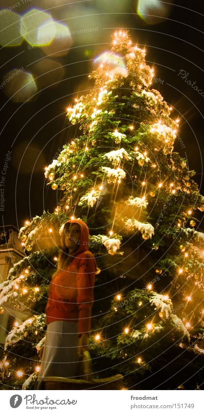 geschenk des... Weihnachten & Advent Lichterkette Baum Frau schön Märchen Winter Beleuchtung Veranstaltungsbeleuchtung Nacht Schnee Weihnachtsbaum Rotkäppchen