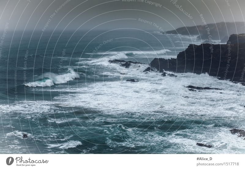 Wilde Atlantik Küste in Portugal Umwelt Natur Landschaft Urelemente Wasser Horizont schlechtes Wetter Sturm Felsen Wellen Bucht Meer Küstenlandschaft