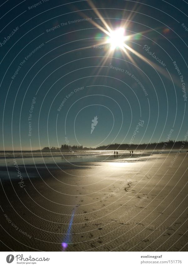 Spuren im Sand Kanada Vancouver Island Insel Strand Sonne Wärme niedlich Ferne Meer Ebbe