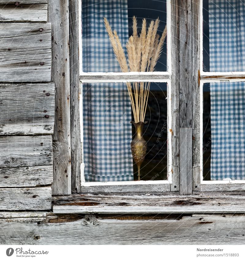 Am Fenster Renovieren Dekoration & Verzierung Fischerdorf Haus Hütte Fassade Blumenstrauß Holz Glas Häusliches Leben Armut maritim ruhig authentisch demütig
