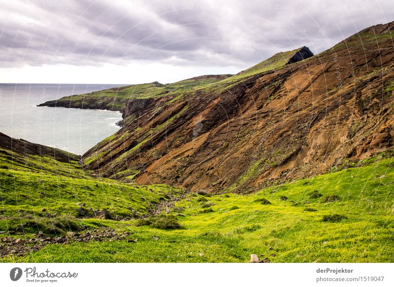 Das ist nicht Schottland Ferien & Urlaub & Reisen Tourismus Ausflug Abenteuer Ferne Freiheit Berge u. Gebirge wandern Umwelt Natur Landschaft Pflanze Tier