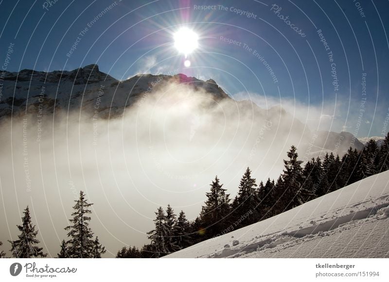 Mountain Dreamworld I. Sonne Nebel Schnee Berge u. Gebirge Wolken Wald Gegenlicht schön bedrohlich aufsteigen Wetter Himmel Spuren wandern Schneeschuhe