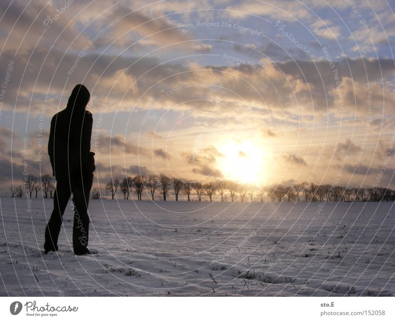 Was wir brauchen... Mensch Schnee Natur Landschaft Ferne Sonnenuntergang Allee Feld Körperhaltung Blick Winter Himmel Stimmung kalt Brandenburg