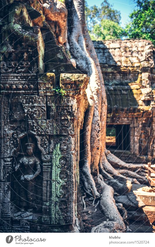 Angkor Thom in Kambodscha Ferien & Urlaub & Reisen Tourismus Kultur Erde Baum Park Urwald Felsen Ruine Gebäude Architektur Denkmal Stein alt historisch wild