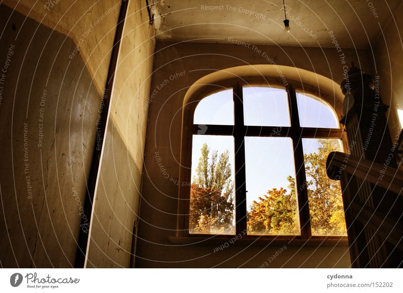 Aufstieg Haus Villa Fenster Licht altmodisch Leerstand Raum Häusliches Leben Zeit Vergänglichkeit Klassik Treppenhaus Nostalgie Jahrhundert verfallen Einsamkeit